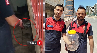 Urfa’da Bir Evde Korkutan Yılan Paniği!