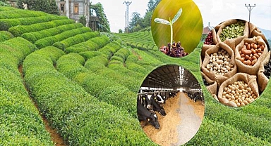 5.5 Milyar Liralık Destekleme Ödemesi Bugün Hesaplara Aktarılıyor