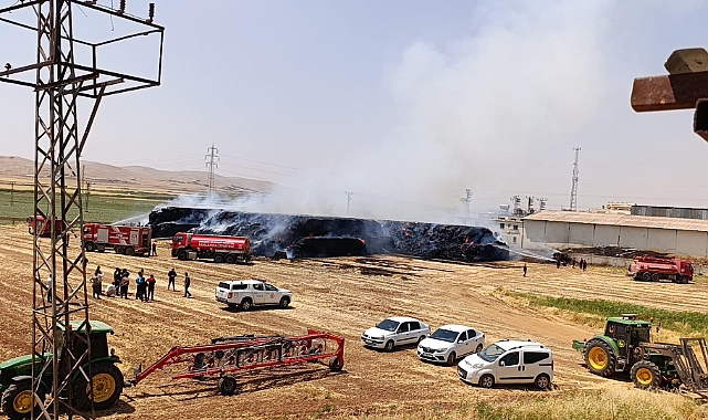 Akçakale Yolu'nda Yangın: Fabrikaya Sıçramadan Kontrol Altına Alındı