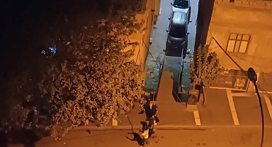 Haliliye’de Gece Yarısı Silahlı Kavga Korkuttu!