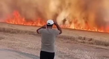 Harran'da Buğday Tarlasında Büyük Yangın!