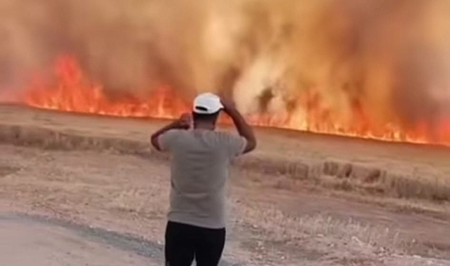 Harran’da Buğday Tarlasında Büyük Yangın!