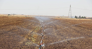 Mısır Ekimi Enerji Arzını Tehdit Ediyor