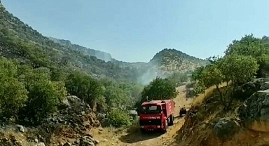Orman Yangınlarına İlişkin Açıklama: 81’i İzmarit, 50’si Piknik Ateşinden