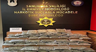 Şanlıurfa’da 35 Kilo Skunk Ele Geçirildi