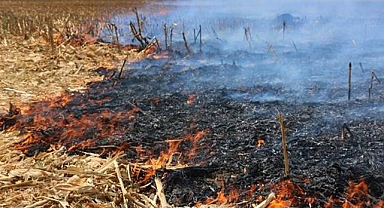 Şanlıurfa’da Anız Yakanlara Göz Açtırılmayacak