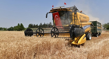 Şanlıurfa’da Buğday Hasadı Devam Ediyor