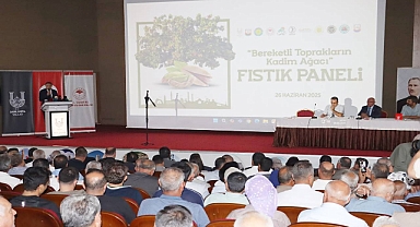 Şanlıurfa'da Fıstık Paneli: Üretimden Ekonomiye Tüm Yönleriyle Masaya Yatırıldı