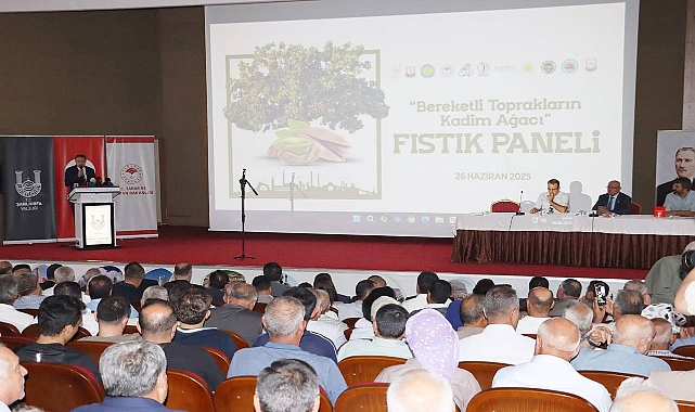 Şanlıurfa'da Fıstık Paneli: Üretimden Ekonomiye Tüm Yönleriyle Masaya Yatırıldı