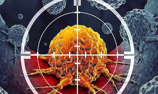 Şanlıurfa, Kanserden Kaynaklı Ölümlerde Dikkat Çeken Detay!