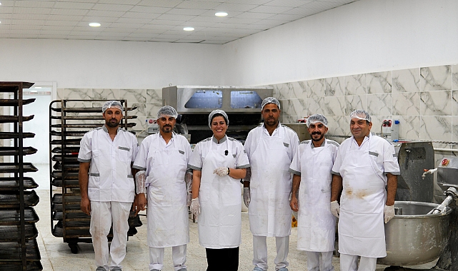 Suruç Belediyesi’nden Halk Ekmeği Hamlesi: "Tarladan Fırına Halka" Projesi Devam Ediyor