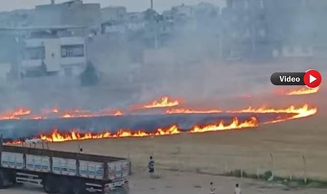 Suruç'ta Buğday Tarlasında Yangın: 50 Dönüm Alan Küle Döndü