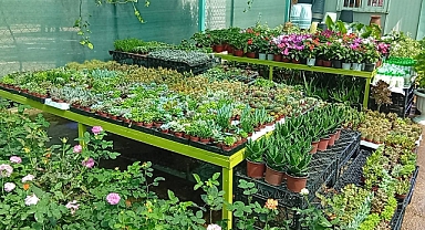 Urfa’da Bayram Öncesi Çiçekçilere Yoğun İlgi