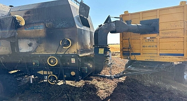 Urfa’da Biçerdöver Yangını Buğday Tarlasına Sıçradı: Maddi Hasar Oluştu