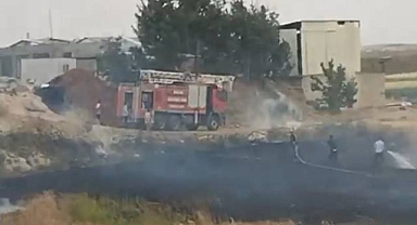 Urfa’da Bir Günde Üç Yangın: Orman, Tarla ve Mahalle Alevlere Teslim