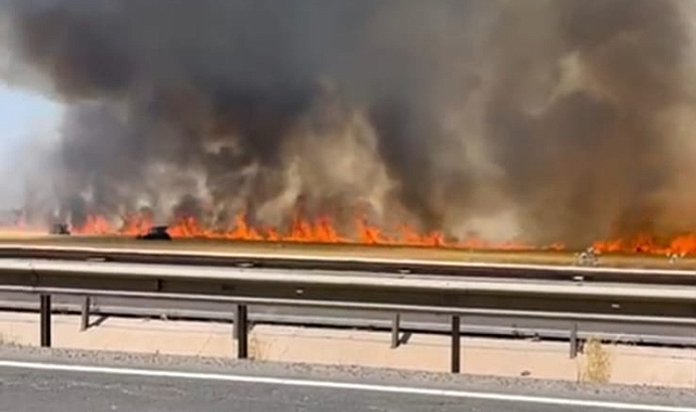 Viranşehir’de Ekili Arazi Yangını: Yüzlerce Dönüm Küle Döndü