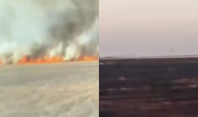 Viranşehir'de Yangın: 350 Dönüm Buğday Tarlası Kül Oldu