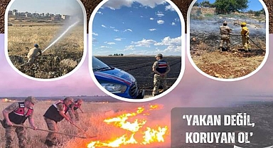 Anız Yakanlara Geçit Yok! Şanlıurfa Jandarması Sahada