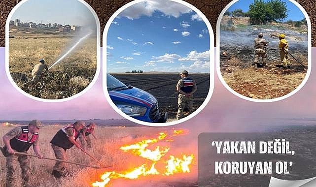 Anız Yakanlara Geçit Yok! Şanlıurfa Jandarması Sahada