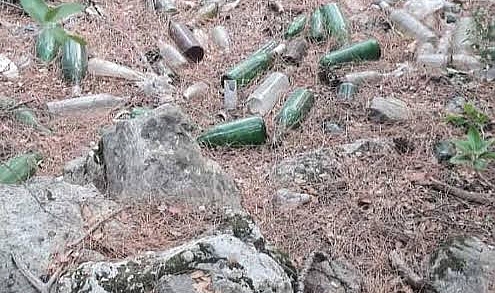 Cam Şişeler Orman Yangınına Neden Olabiliyor!