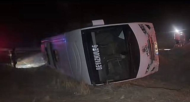 Ceylanpınar’da Servis Otobüsü Eşeğe Çarptı: 15 İşçi Yaralandı