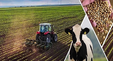 Destekleme Ödemesi Hesaplara Aktarılıyor!