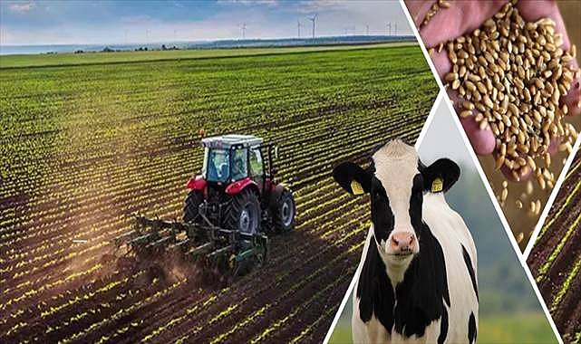 Destekleme Ödemesi Hesaplara Aktarılıyor!