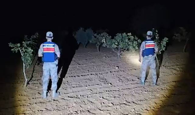 Jandarma'dan Fıstık Hırsızlarına Karşı Hummalı Önlem