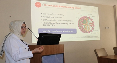Kırım Kongo Kanamalı Ateşine Dikkat! 