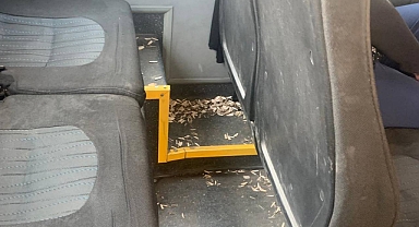 Şanlıurfa’da Minibüste Saygısızlık Tepki Çekti