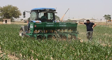 Şanlıurfa’da Toprak İşlemesiz Tarımda Örnek Uygulama
