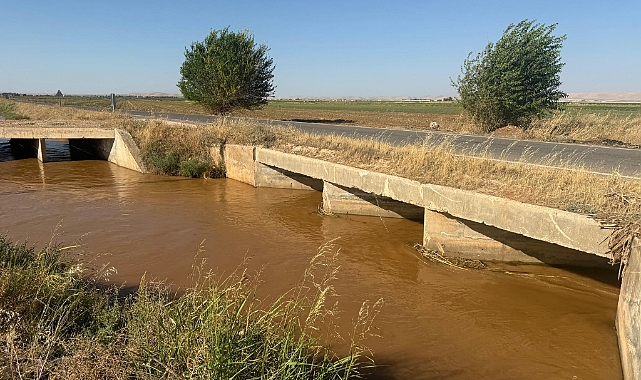 Şanlıurfa’da Vahşi Sulama Alarmı: Obruklar Oluşuyor, Verim Düşüyor