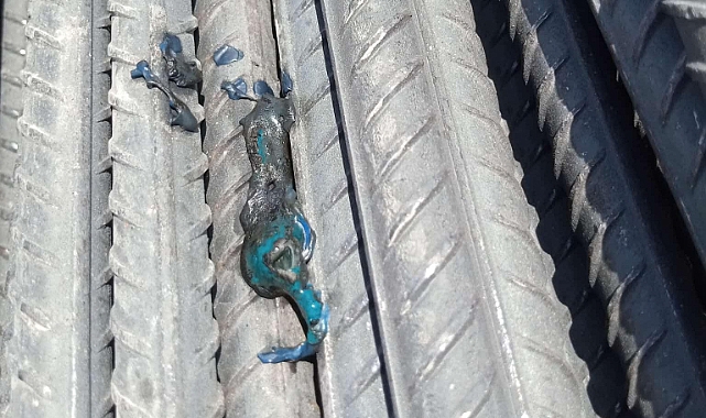 Şanlıurfa Kavruluyor: Plastik Eridi, Hayat Felç Oldu!