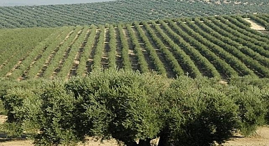 Tarımda Yeni Dönem: Son Tarih 10 Ağustos