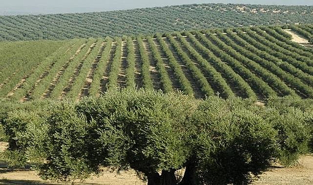 Tarımda Yeni Dönem: Son Tarih 10 Ağustos