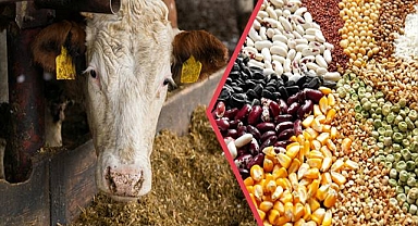 Tarımsal Destekleme Ödemesi Hesaplara Aktarılıyor