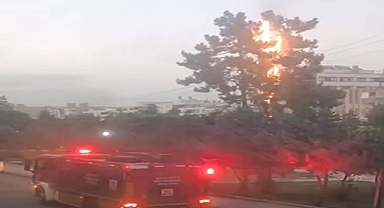 Urfa’da Elektrik Tellerine Takılan Ağaç Alev Aldı