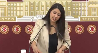 Vekil Dilan Kunt Ayan: Urfa'da Çiftçi Kuraklık ve Susuzlukla Boğuşuyor!