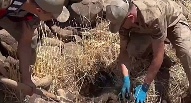 Viranşehir’de Silah ve Uyuşturucu Operasyonu!