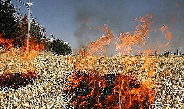 Yangınların %86'sı İnsan Kaynaklı! OGM'den Kritik Uyarı: Sıcaklıklar Artıyor, Risk Büyüyor