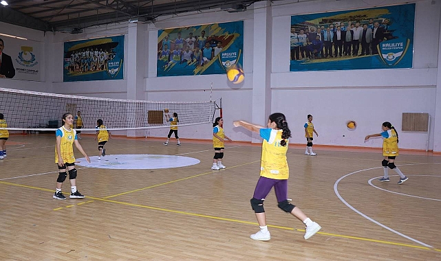 Haliliye Belediyesi, Voleybolun Yıldızlarını Keşfediyor