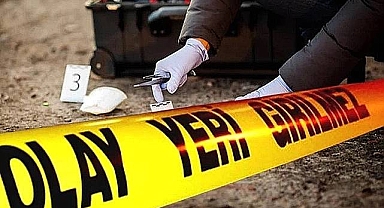 Şanlıurfa'da 2 Cinayet Olayı Aydınlatıldı!  