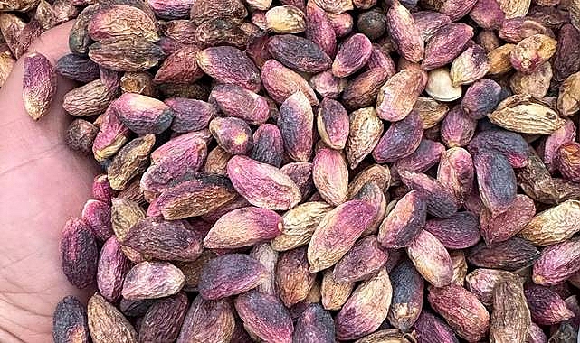 Şanlıurfa’da Fıstık Fiyatları Güncellendi