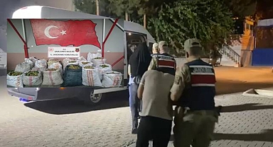 Şanlıurfa'da Fıstık Hırsızlığı Operasyonu: 9 Şüpheli Yakalandı