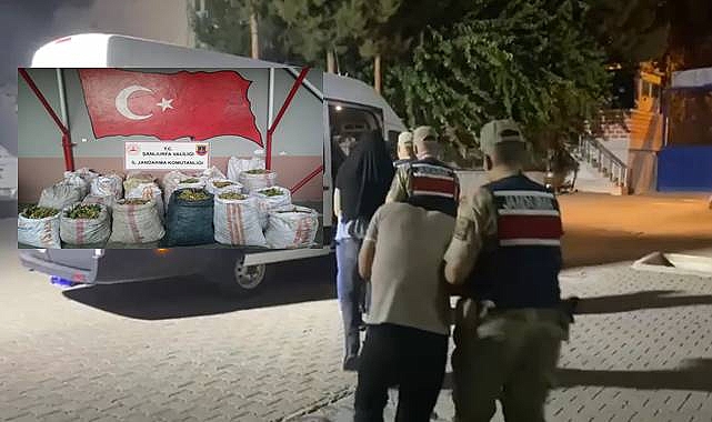 Şanlıurfa'da Fıstık Hırsızlığı Operasyonu: 9 Şüpheli Yakalandı