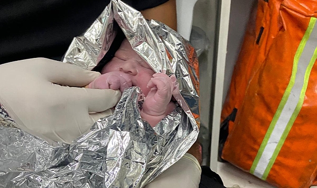 Şanlıurfa'da Hastaneye Yetişemeyen Kadın Yolda Doğurdu