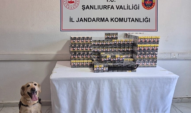 Şanlıurfa’da Tütün ve Alkol Kaçakçılarına Darbe