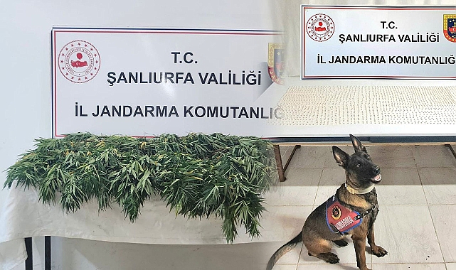 Şanlıurfa’da Uyuşturucu Operasyonu: 2 Şüpheli Yakalandı