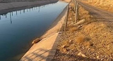 Suruç’ta Sulama Kanalında Facia: 13 Yaşındaki Çocuk Hayatını Kaybetti