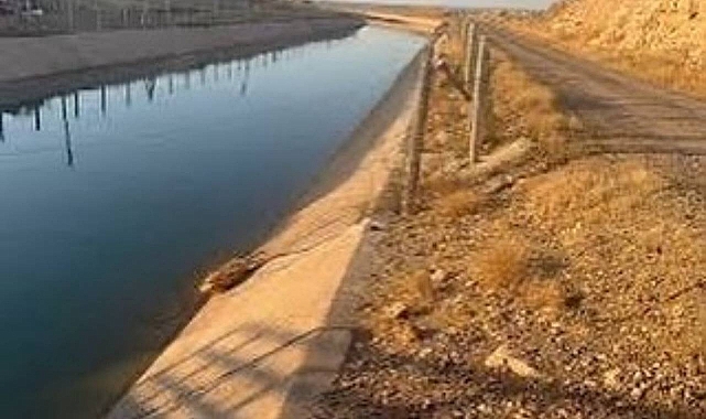 Suruç’ta Sulama Kanalında Facia: 13 Yaşındaki Çocuk Hayatını Kaybetti